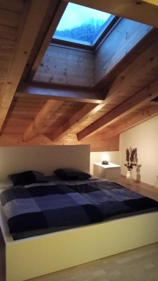 Apartment Hohenヴェルフェン エクステリア 写真